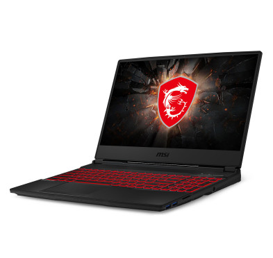 PC Portable Gamer MSI GL65 Leopard 10SD 025XFR