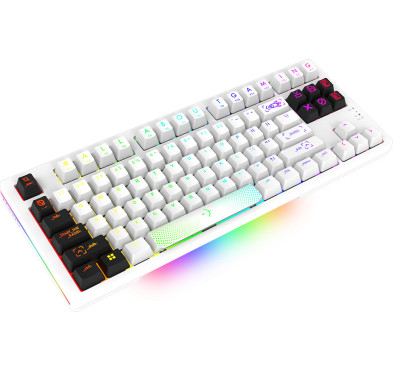 Clavier Mécanique AQIRYS ALUDRA TKL, 100% Anti-ghosting, RGB -White