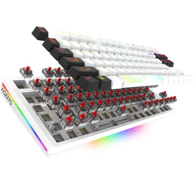 Clavier Mécanique AQIRYS ALUDRA TKL, 100% Anti-ghosting, RGB -White