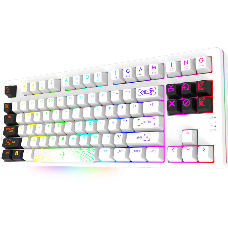 Clavier Mécanique AQIRYS ALUDRA TKL, 100% Anti-ghosting, RGB -White