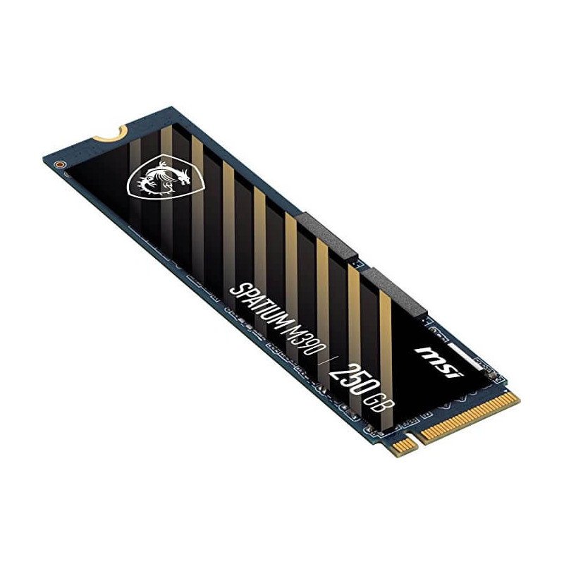 Disque Dur SSD MSI SPATIUM M390 NVMe M.2 - 250Go Disque Dur SSD MSI SPATIUM M390 NVMe M.2 - 250Go