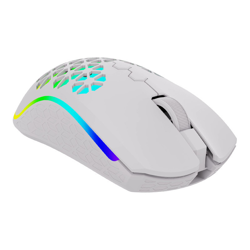 Souris Gamer AQIRYS Polaris - Double mode (Sans fil / filaire) - 16000 ppp, RGB White