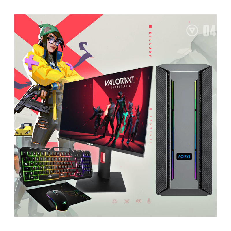 Full Setup ALPHA-Killjoy, RYZEN 5-3600, 16Go, GTX 1650