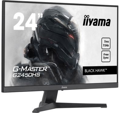 Ecran PC Gamer iiyama 23.8" VA, FHD, 1ms, 75Hz