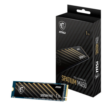 Disque dur interne SSD Spatium M450 PCIe 4.0 NVMe M.2 - 1To