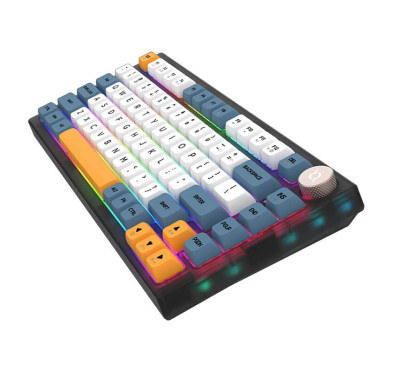 Clavier Gamer Mécanique AQIRYS Libertas, 100% Anti-ghosting, Dual Wireless
