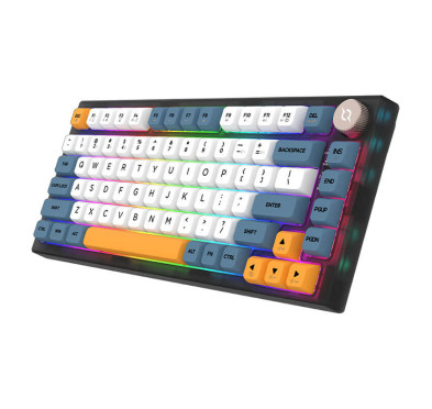 Clavier Gamer Mécanique AQIRYS Libertas, 100% Anti-ghosting, Dual Wireless