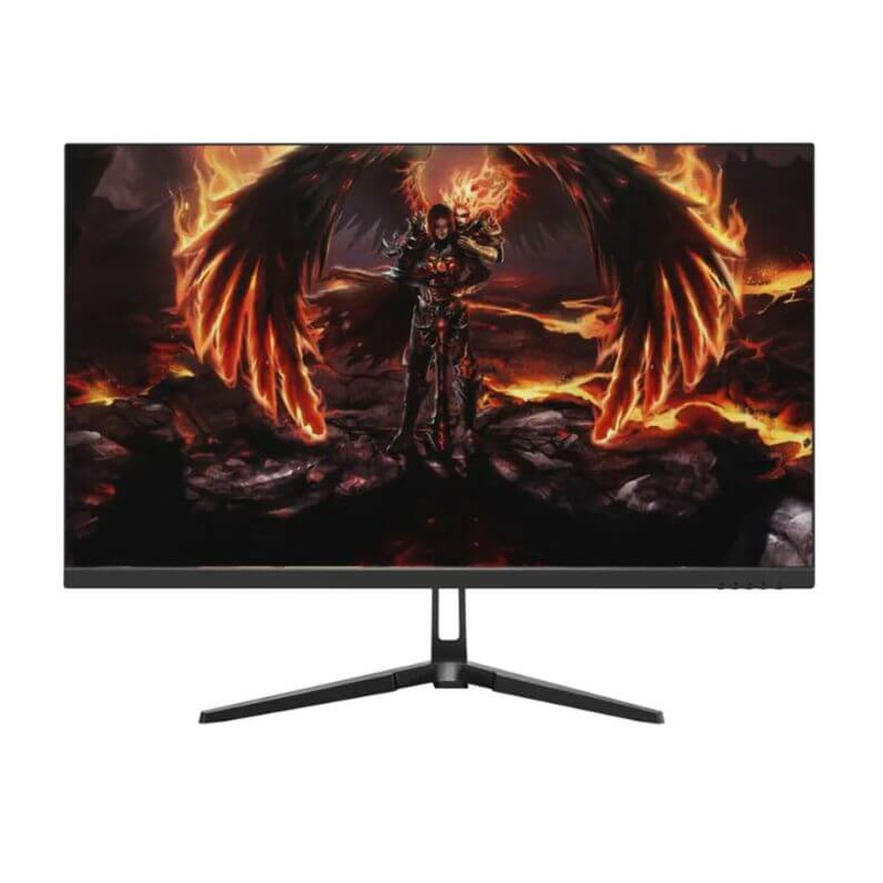 Ecran Gamer AERO QG25DFA, VA 24.5" FHD, 240 Hz, 1 ms