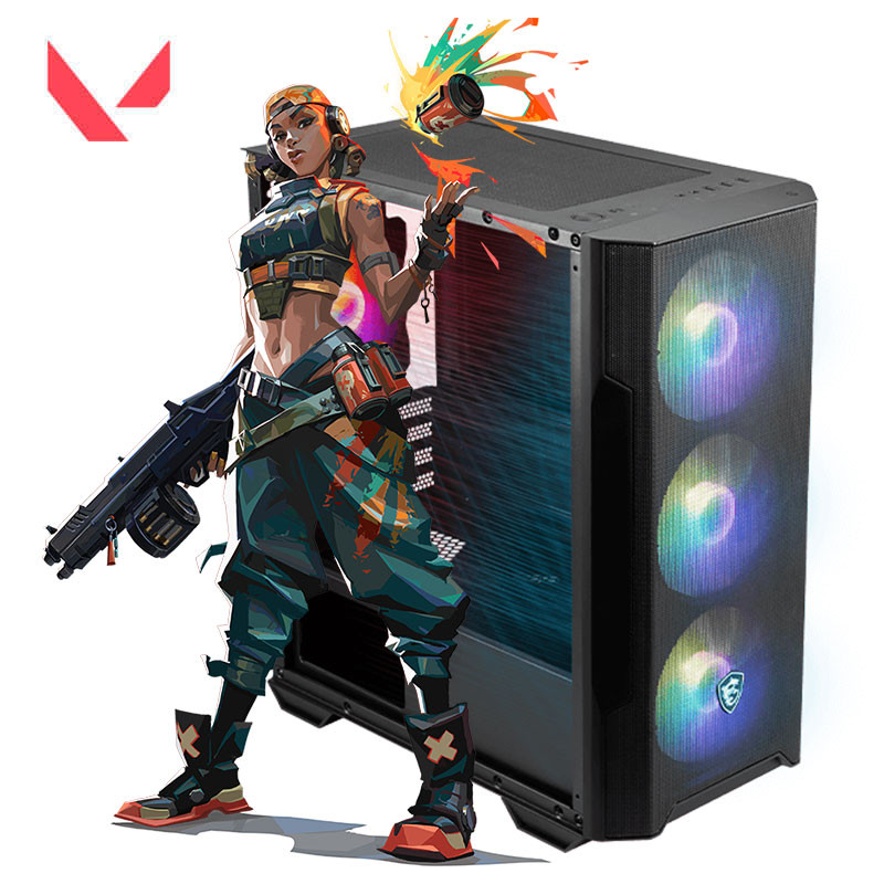 Pc Gamer ALPHA Valorant, I5-12ème, RTX 3050 Ventus 2X, 16Go, 512G SSD