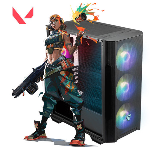 Pc Gamer ALPHA Valorant, I5-12ème, RTX 3050 Ventus 2X, 16Go, 512G SSD