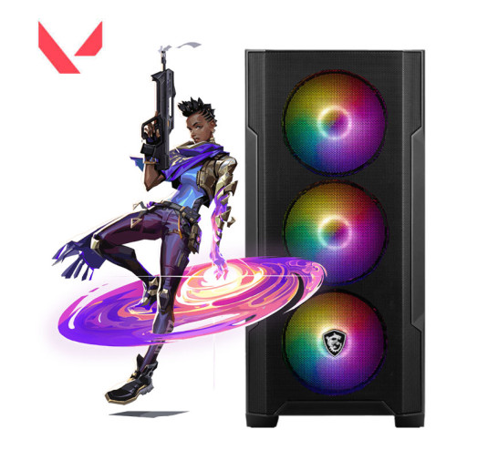 Pc Gamer ALPHA Valorant, I5-12ème, RTX 3050 Ventus 2X, 16Go, 512G SSD