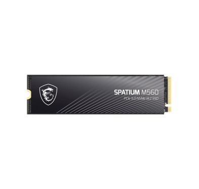 Disque dur interne SSD NVMe Spatium M560 PCIE 5.0 - 1To