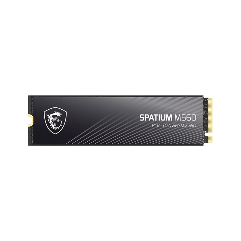 Disque dur interne SSD NVMe Spatium M560 PCIE 5.0 - 1To Disque dur interne SSD NVMe Spatium M560 PCIE 5.0 - 1To