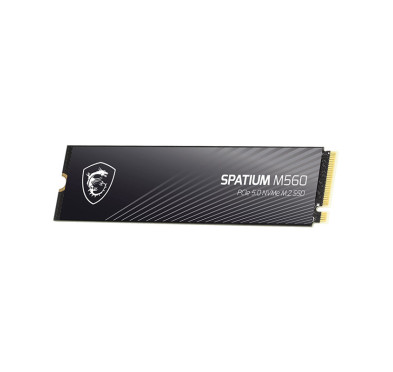 Disque dur interne SSD NVMe Spatium M560 PCIE 5.0 - 1To