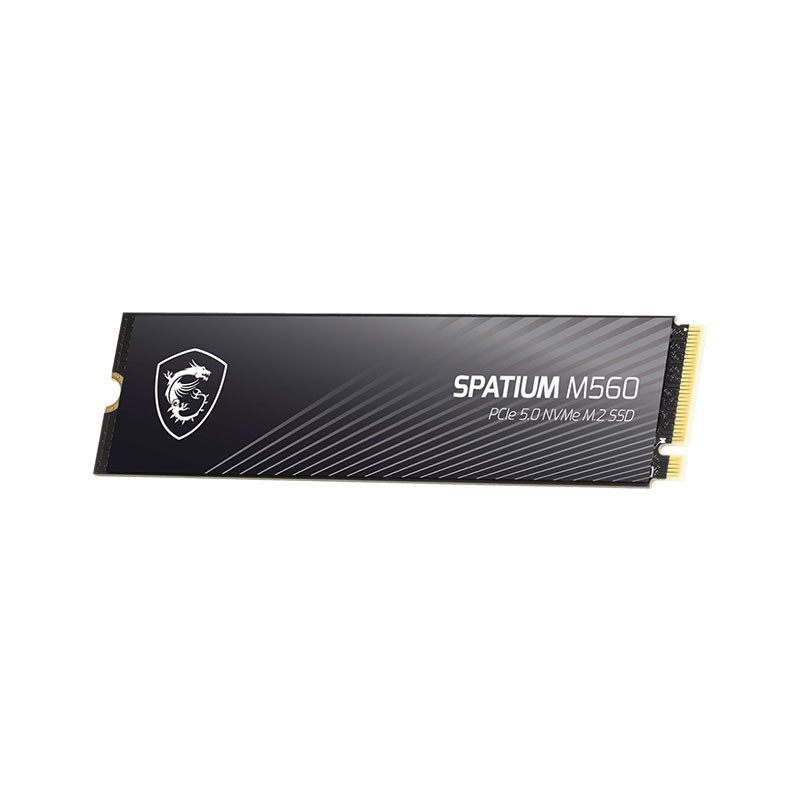 Disque dur interne SSD NVMe Spatium M560 PCIE 5.0 - 1To Disque dur interne SSD NVMe Spatium M560 PCIE 5.0 - 1To