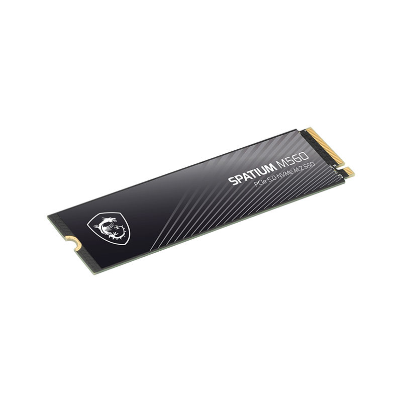 Disque dur interne SSD NVMe Spatium M560 PCIE 5.0 - 1To Disque dur interne SSD NVMe Spatium M560 PCIE 5.0 - 1To