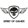 Spirit of gamer